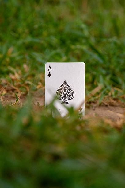 Discover the Best Casino en Ligne Experiences